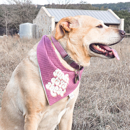 Sunny Days Ahead Dog Bandana