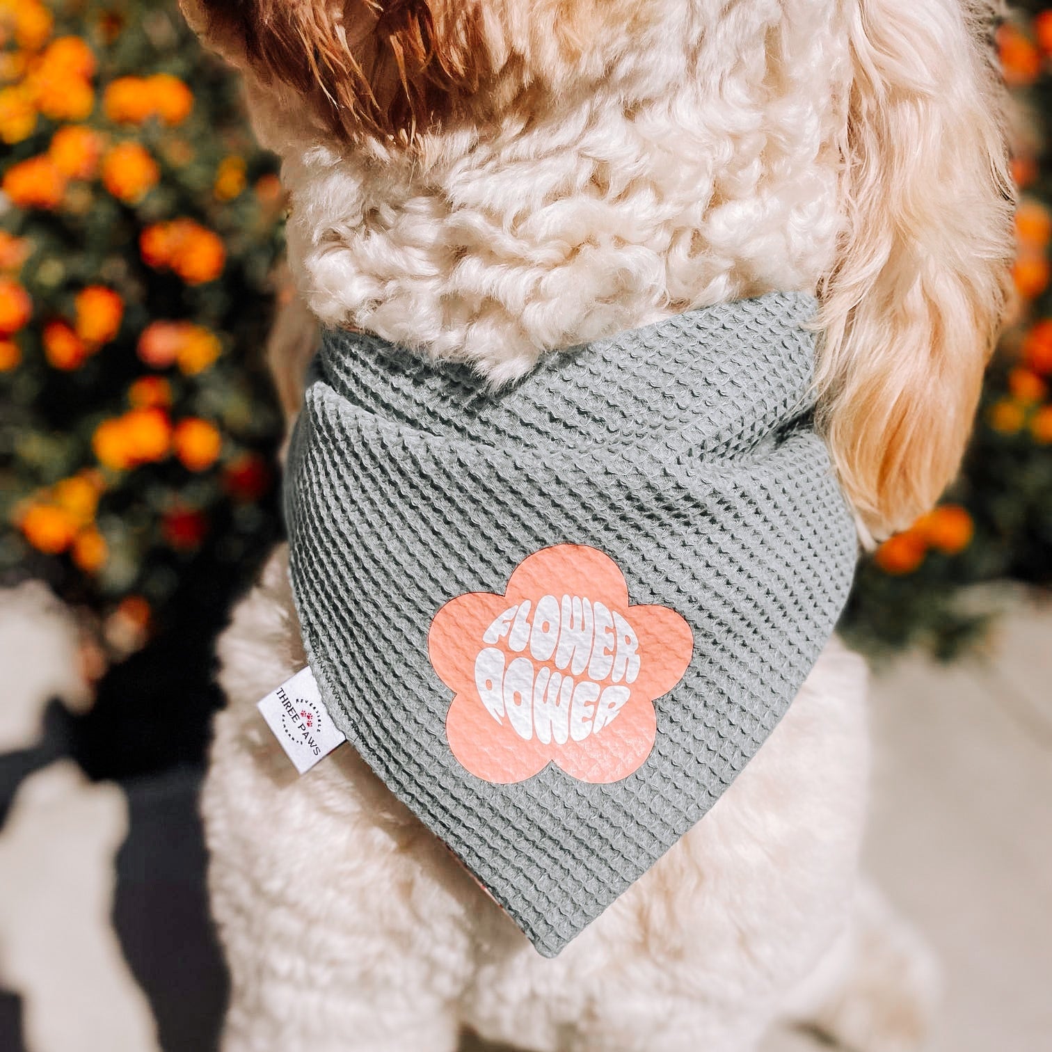 Sweet Petals Dog Bandana