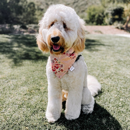 Sweet Petals Dog Bandana