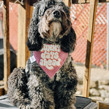 Sunny Days Ahead Dog Bandana