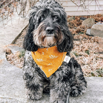 Bohemian Delights Dog Bandana