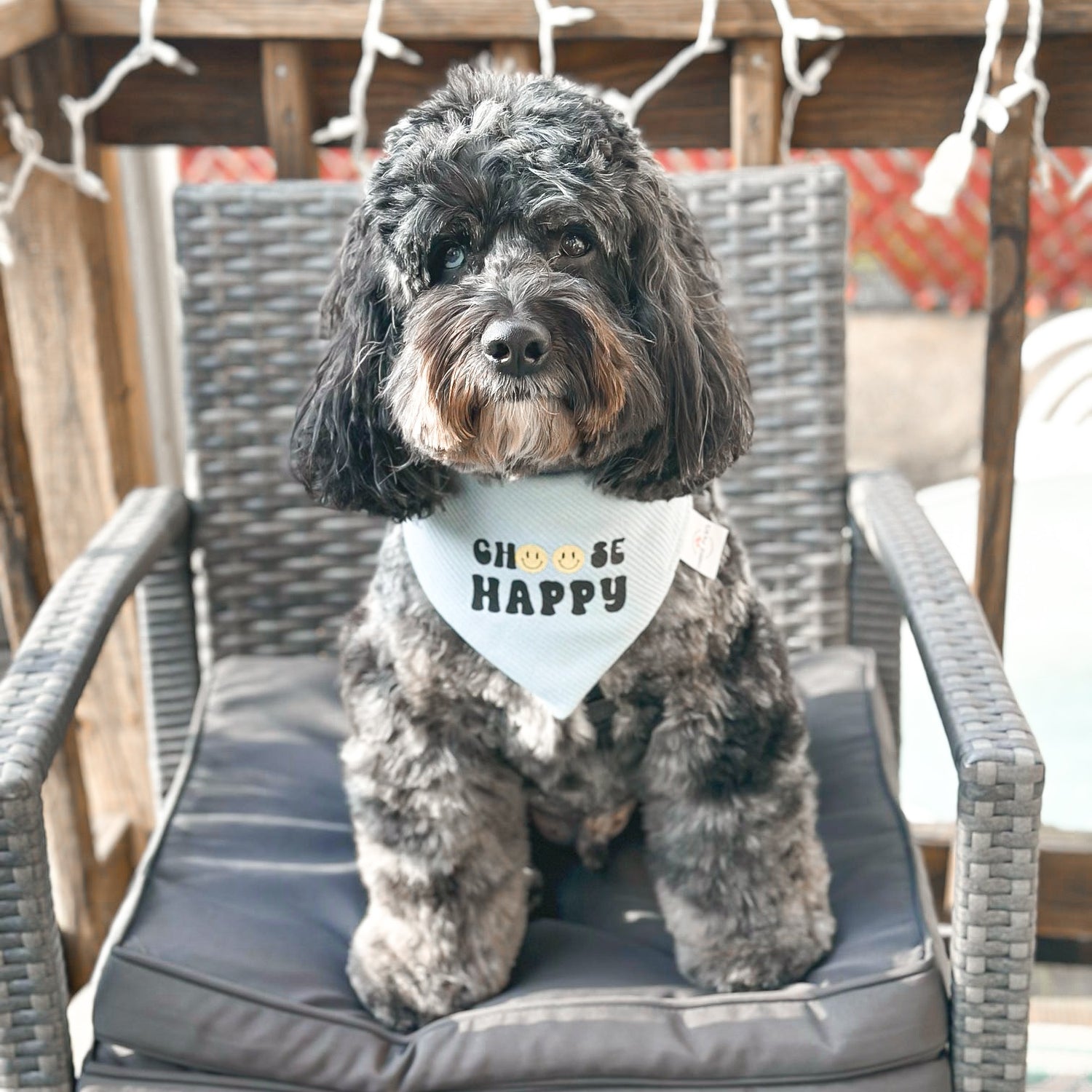 Choose Happy Dog Bandana