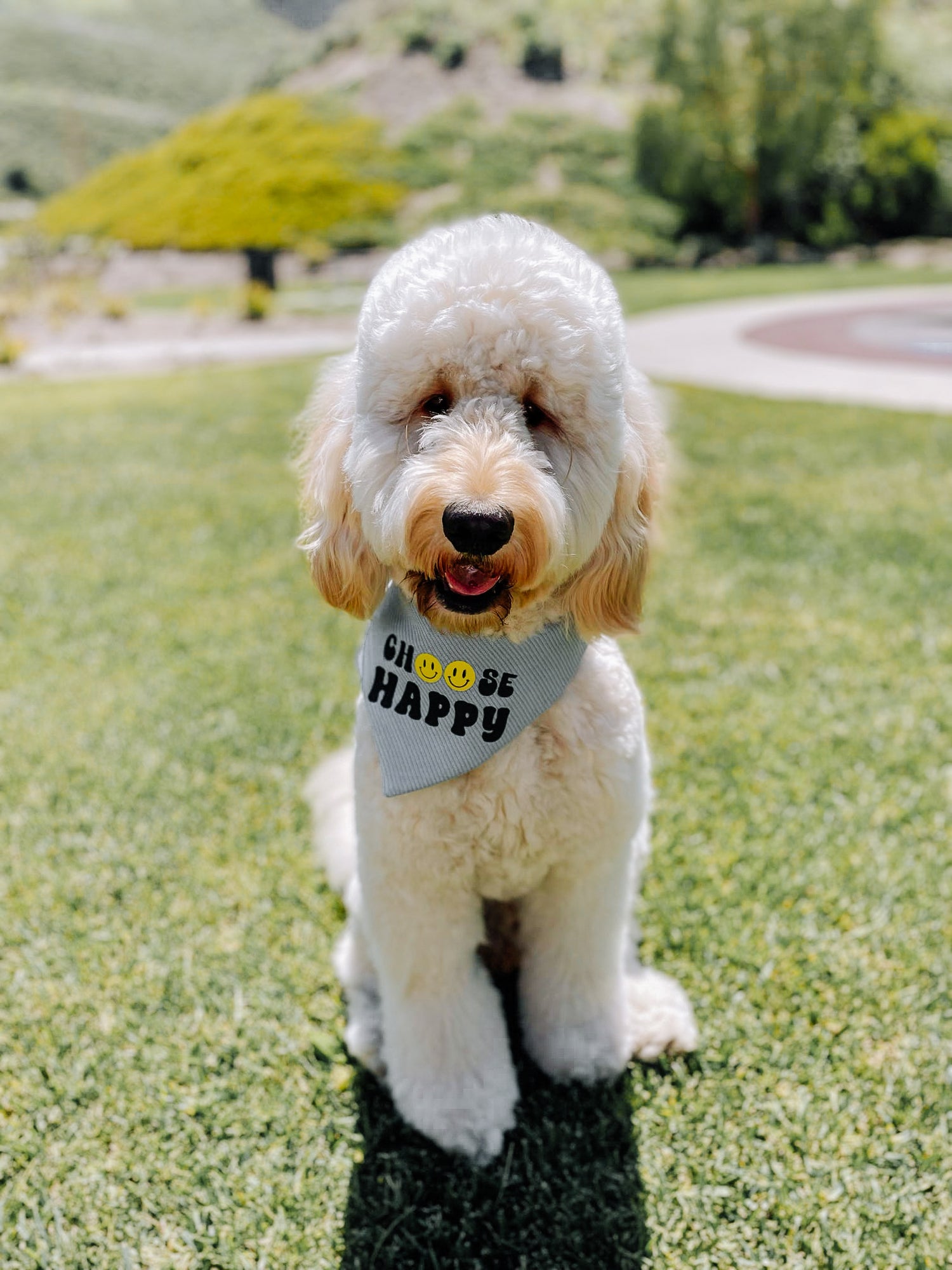 Choose Happy Dog Bandana