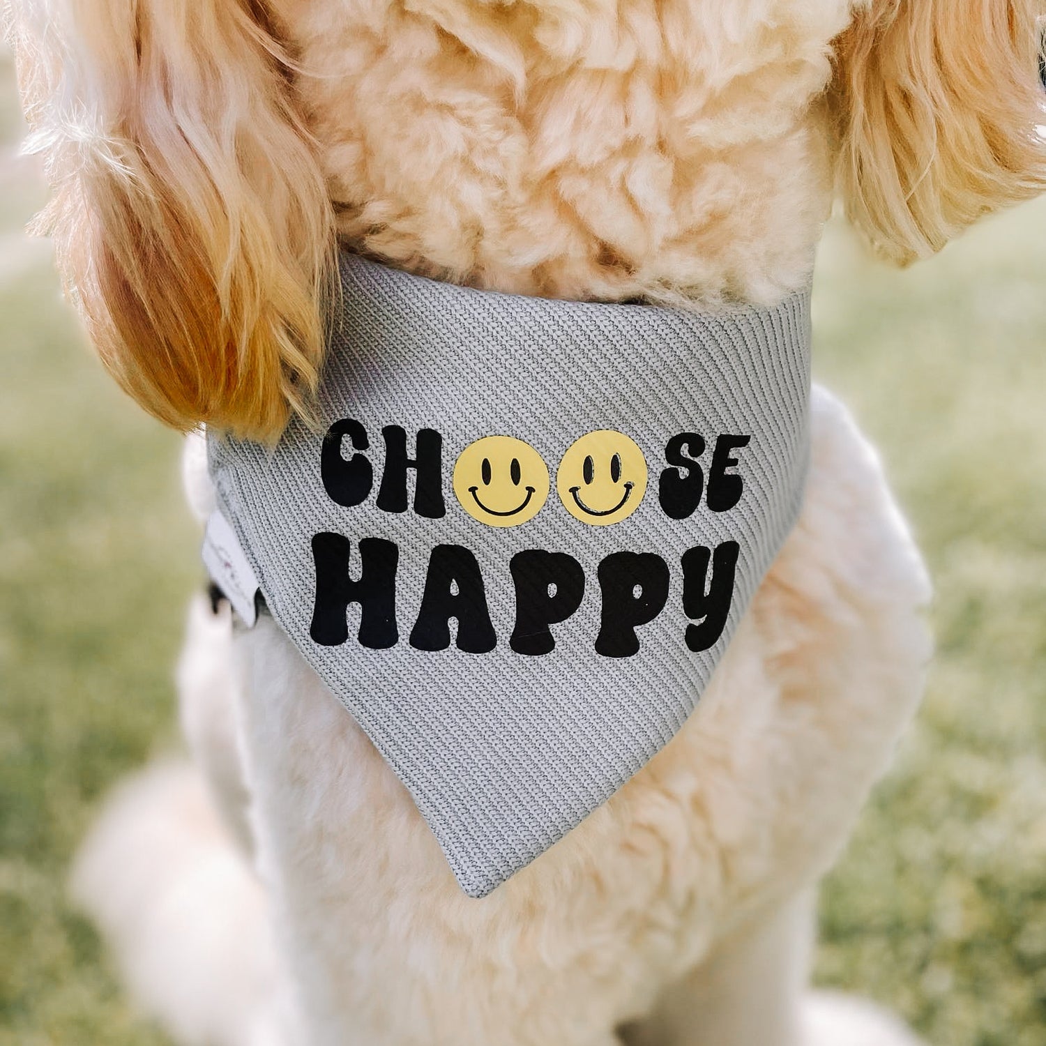 Choose Happy Dog Bandana