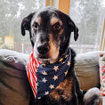 Load image into Gallery viewer, American Flag Water Lovin Bandana
