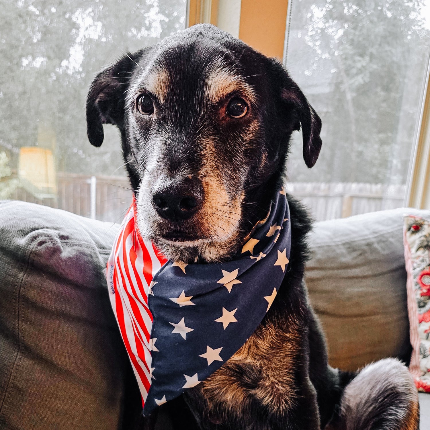 American Flag Water Lovin Bandana