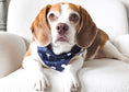 Load image into Gallery viewer, Sea-ing is believing Dog Bandana
