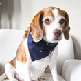 Load image into Gallery viewer, Crabby 🦀  Dog Bandana
