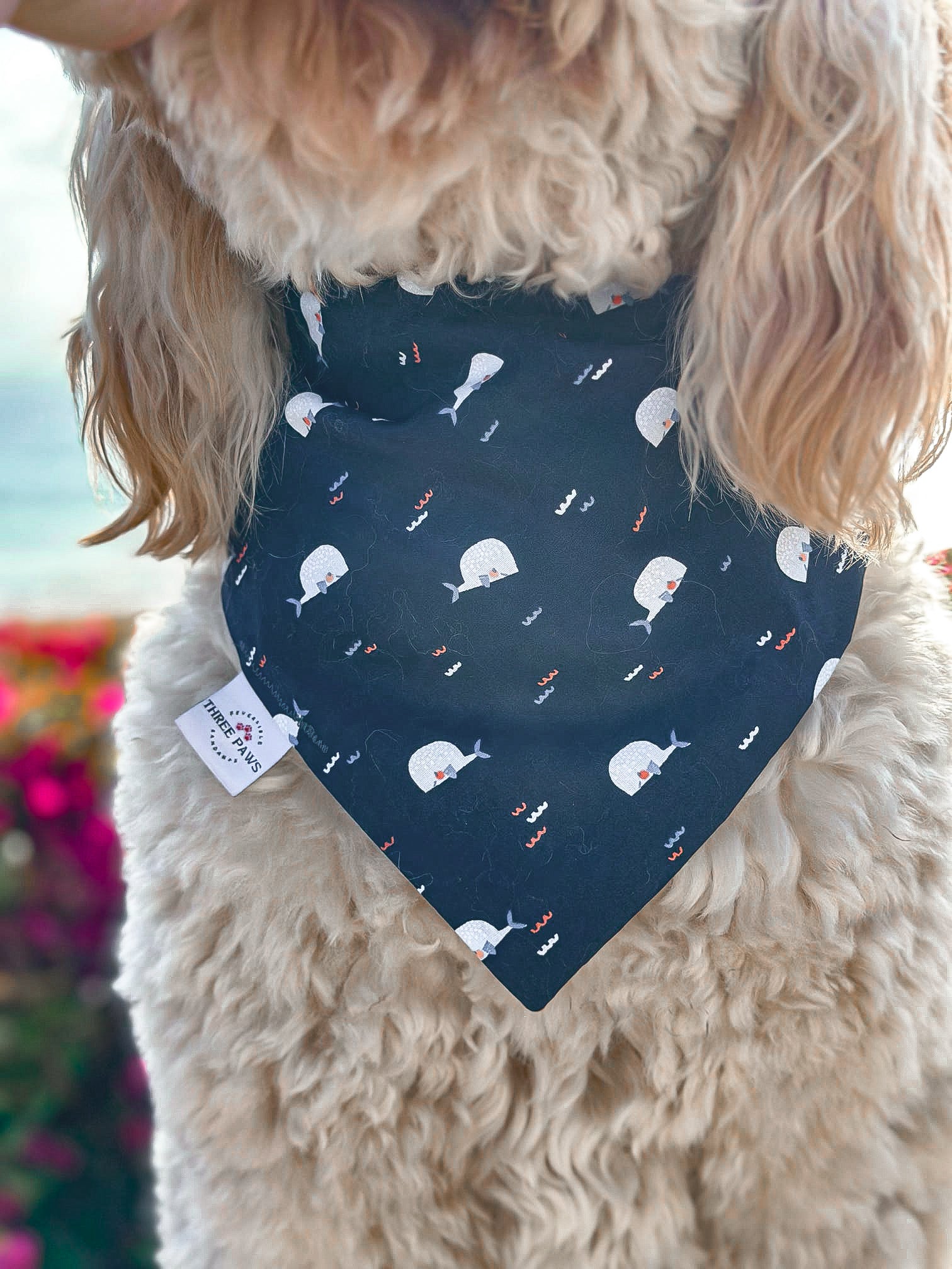 Sea-ing is believing Dog Bandana