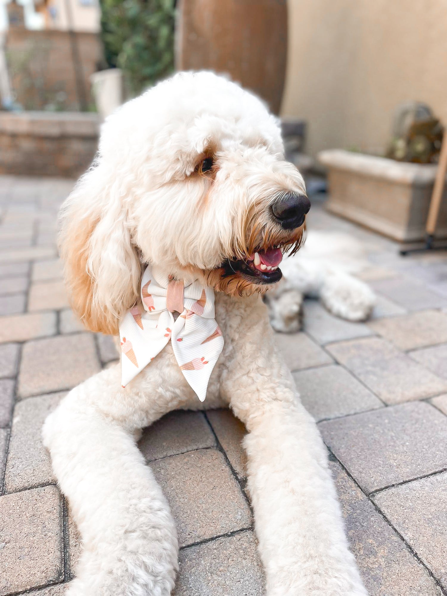 Sweet Cones Hair Bow