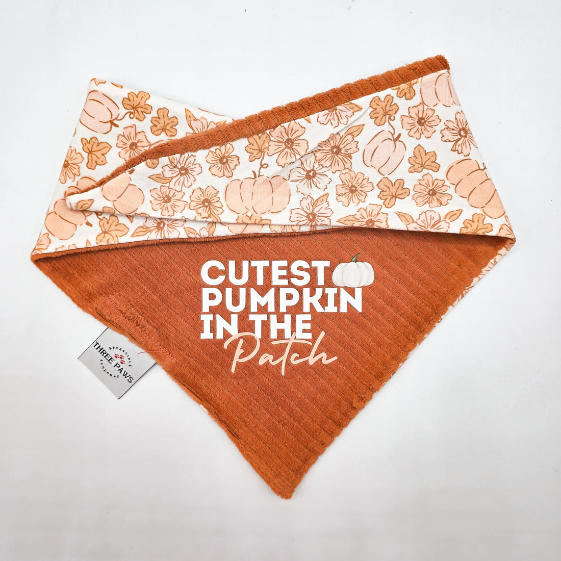 Spice of Life Dog Bandana