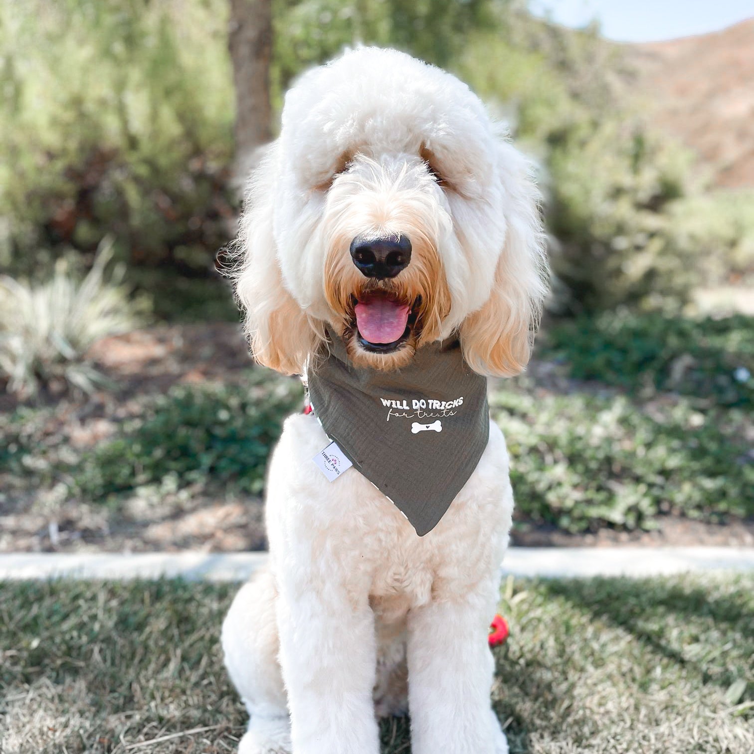 Will do tricks Dog Bandana