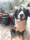 Load image into Gallery viewer, Squad Ghouls Dog Bandana
