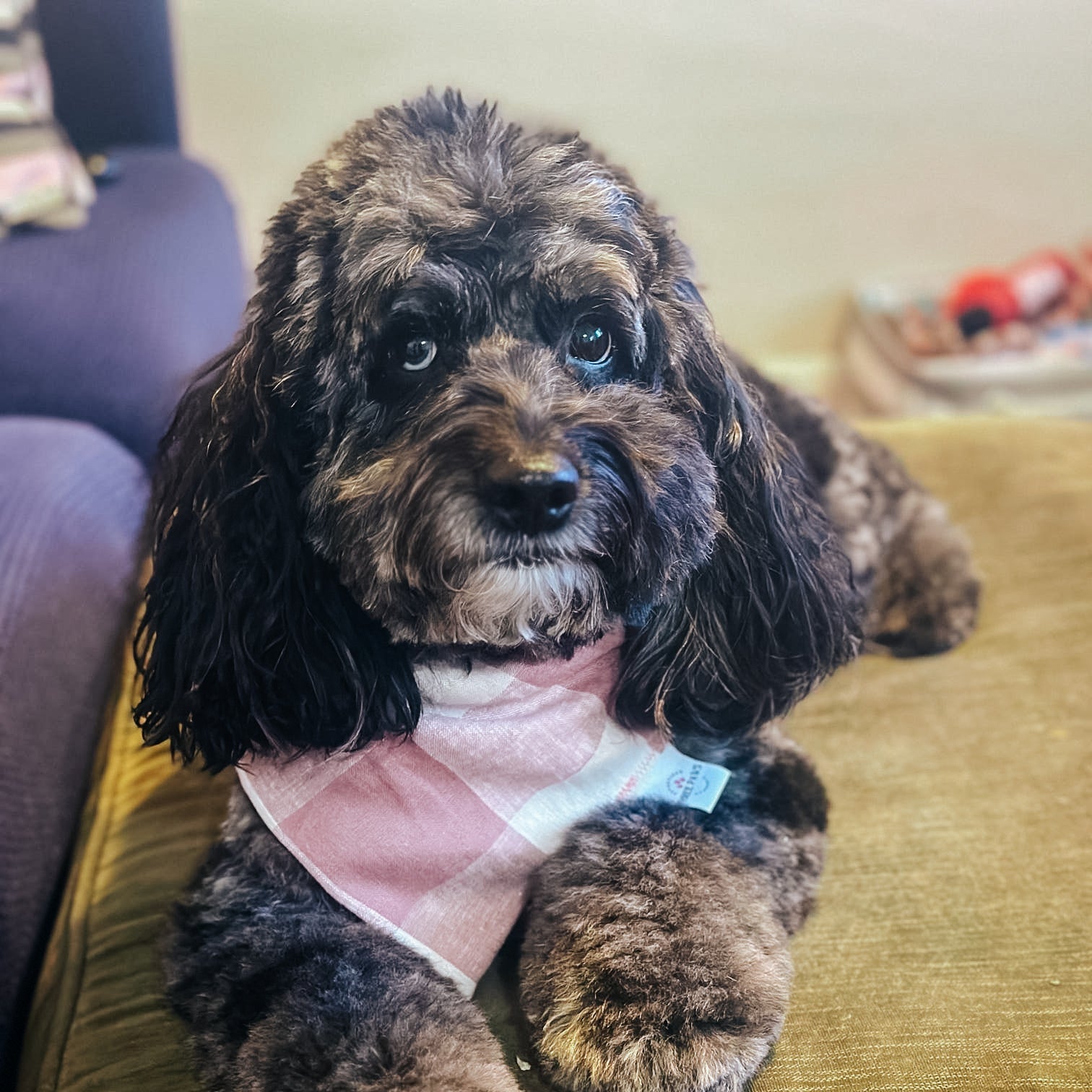 Salmon Gingham Dog Bandana