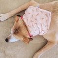Load image into Gallery viewer, Skully Snuggles Dog Bandana
