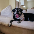 Load image into Gallery viewer, Boos & Bats Dog Bandana
