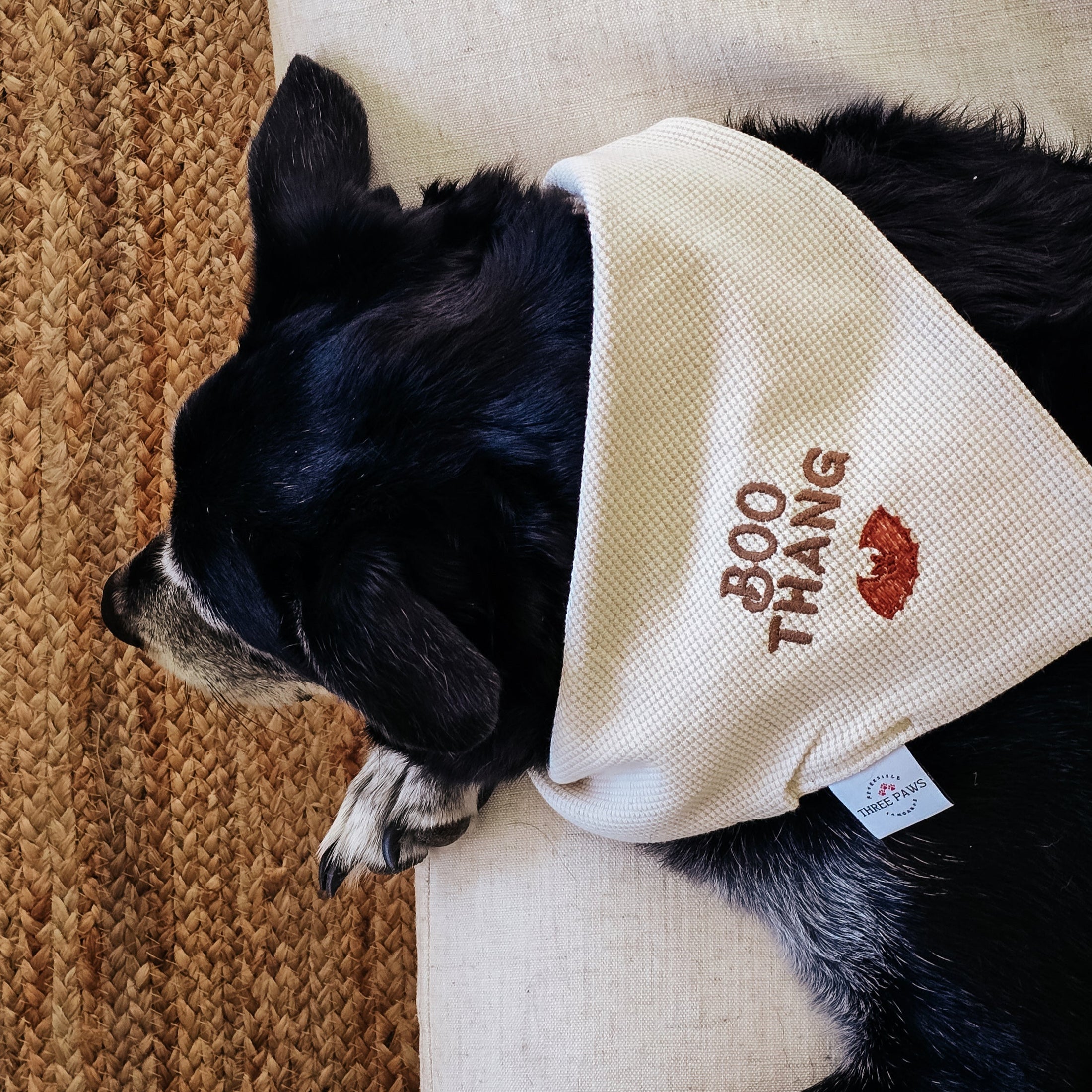 Boos & Bats Dog Bandana