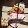 Load image into Gallery viewer, Skully Snuggles Dog Bandana
