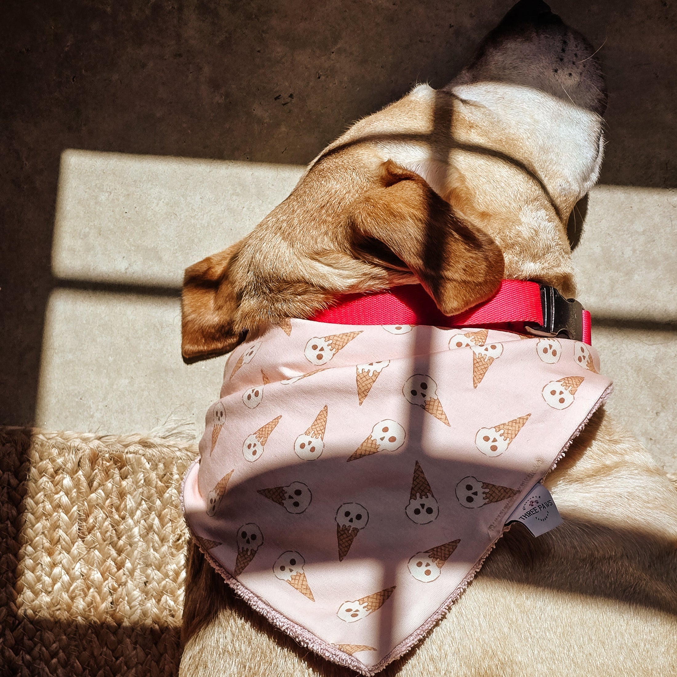 Skully Snuggles Dog Bandana