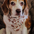 Load image into Gallery viewer, Boos & Bats Dog Bandana
