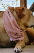 Load image into Gallery viewer, Skully Snuggles Dog Bandana
