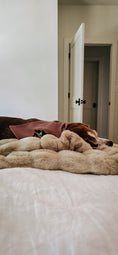 Load image into Gallery viewer, Wicked Cute Dog Bandana
