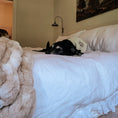 Load image into Gallery viewer, Boos & Bats Dog Bandana
