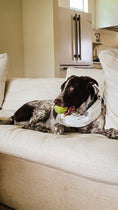 Load image into Gallery viewer, White Ghost Dog Bandana
