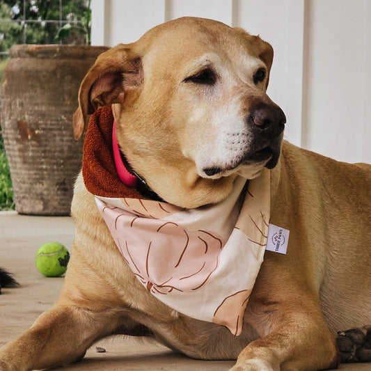 Big Autumn Pumpkins Dog Bandana