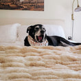 Load image into Gallery viewer, Boos & Bats Dog Bandana
