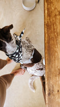Load image into Gallery viewer, White Ghost Dog Bandana
