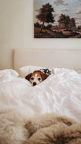 Load image into Gallery viewer, White Ghost Dog Bandana

