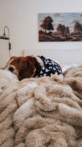 Load image into Gallery viewer, White Ghost Dog Bandana
