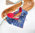 Load image into Gallery viewer, Sea Critters of Summer Dog Bandana

