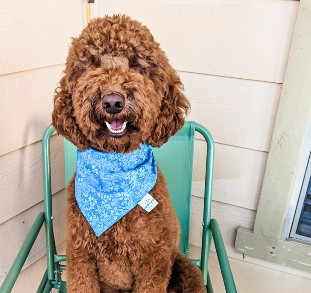 Iris Flowers Dog Bandana