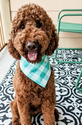 Load image into Gallery viewer, Sea Gingham Dog Bandana

