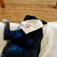 Load image into Gallery viewer, Boos & Bats Dog Bandana
