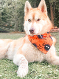 Load image into Gallery viewer, Spider Dog Bandana
