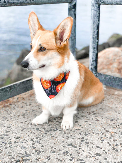 Jack O Lantern Dog Bandana