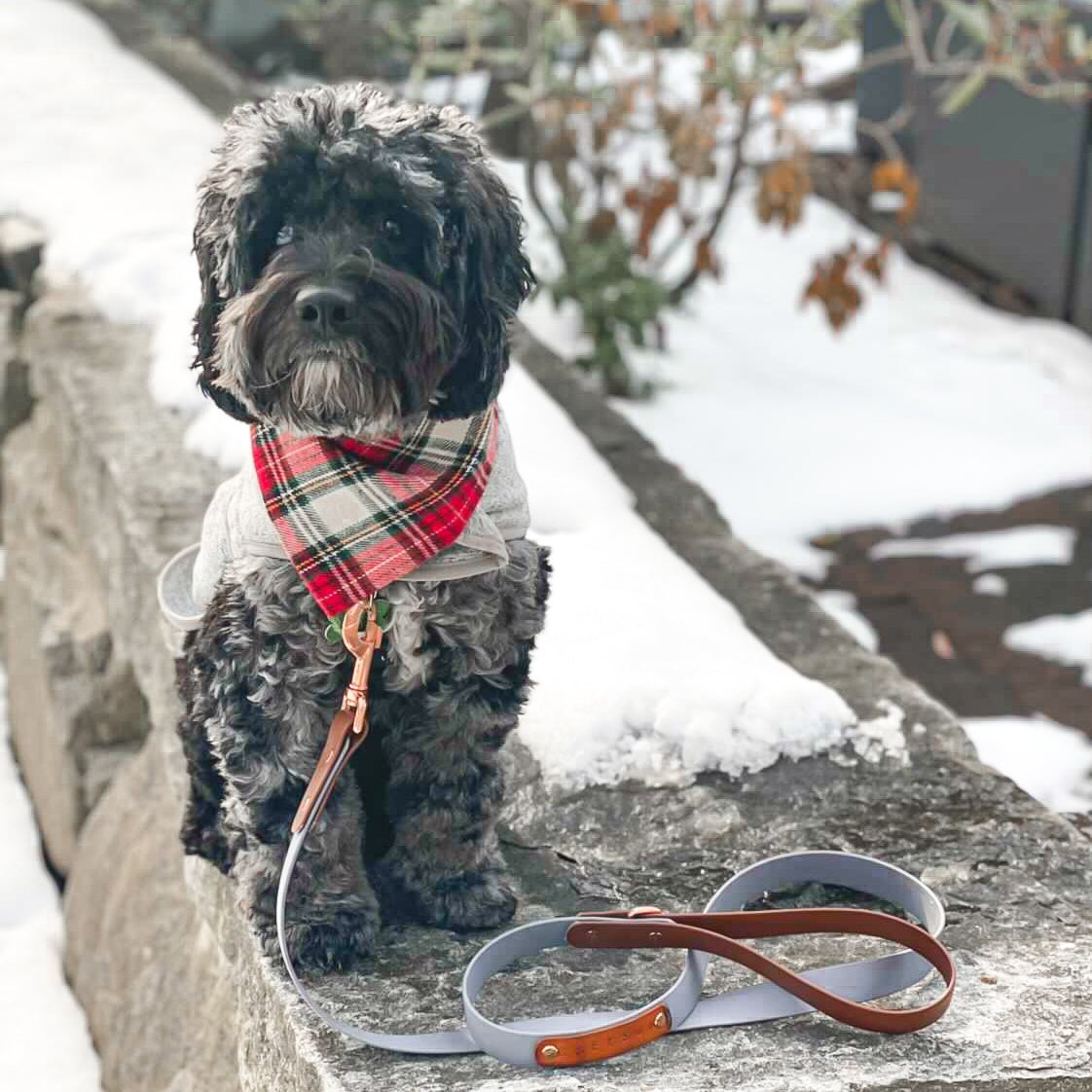 Christmas Classic Flannel Dog Bandana