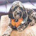 Load image into Gallery viewer, Spider Dog Bandana
