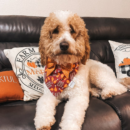 Official Turkey Tester Dog Bandana