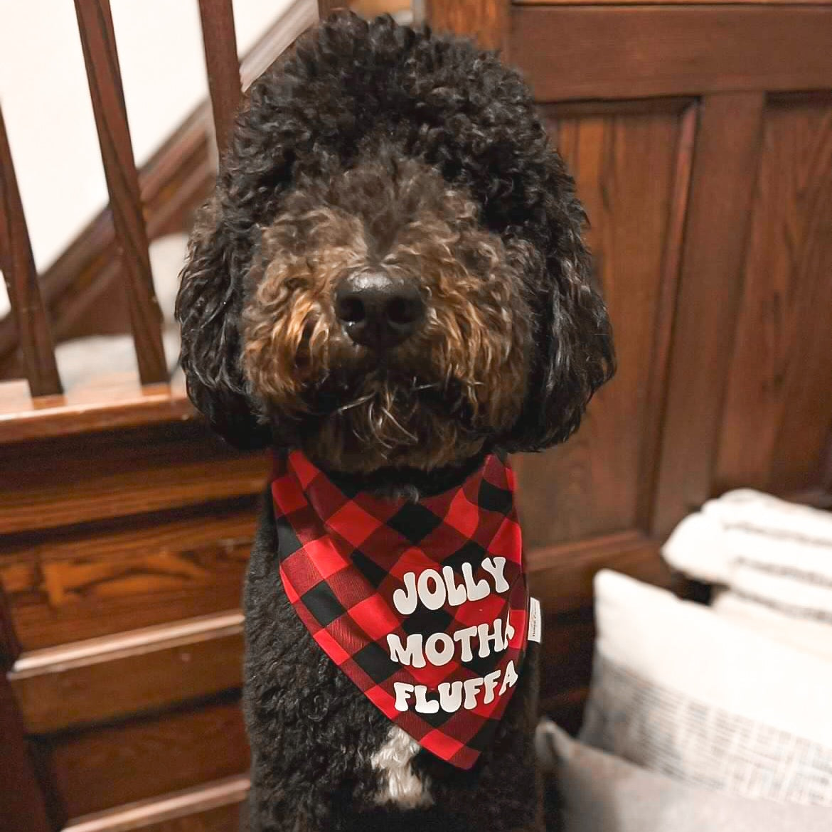 Buffalo Checker Dog Bandana