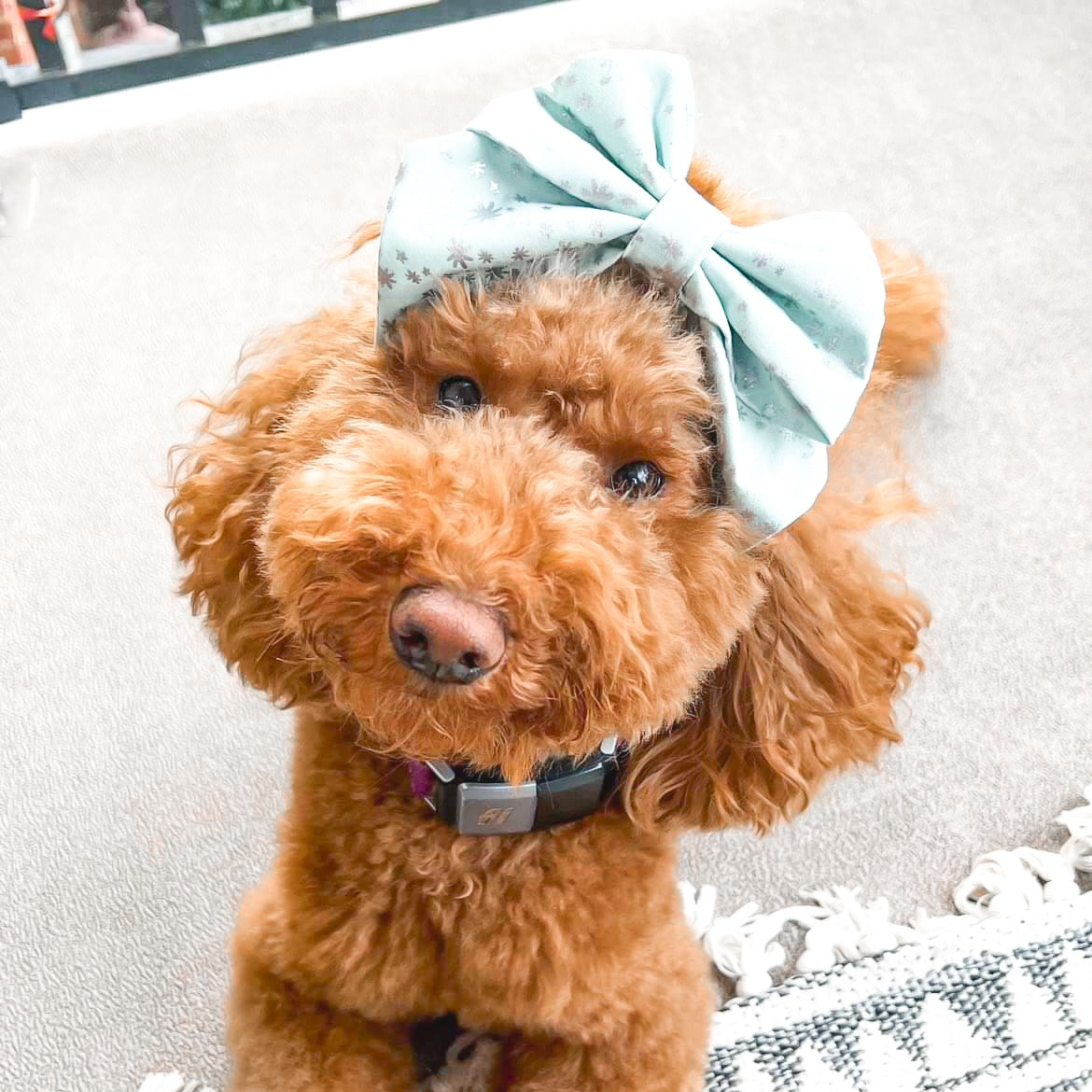 Christmas Star Hair Bow