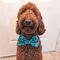 Load image into Gallery viewer, Luckiest Clover Bowtie
