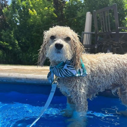 Coastal Palms Water Lovin Bandana