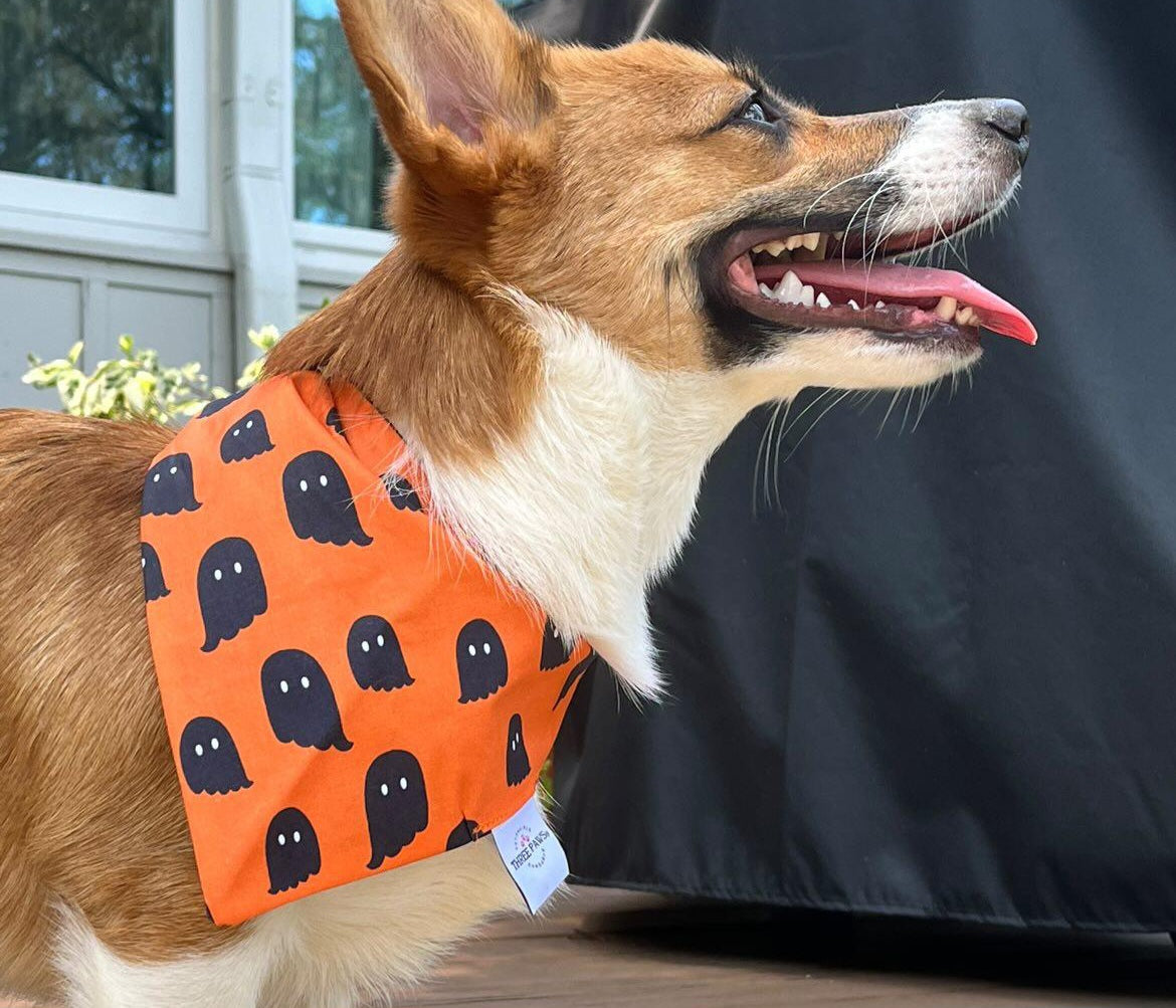 Haunt Mess Dog Bandana