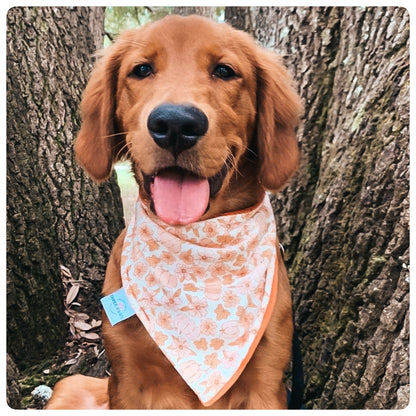 Spice of Life Dog Bandana