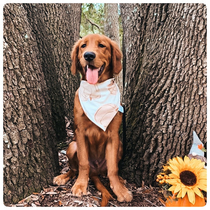 Big Autumn Pumpkins Dog Bandana