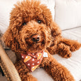 Load image into Gallery viewer, Pumpkin Pie Love Dog Bandana
